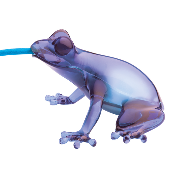 Lampa wisząca / lampa stołowa HUNGRY FROG, BURSZTYN QeeBoo