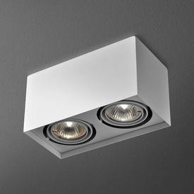 REFLEKTOR SQUARES 50x2 230V natynkowy AQFORM