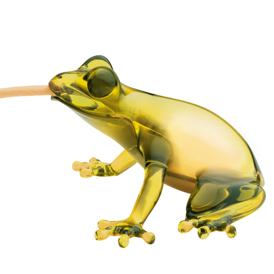 Lampa wisząca / lampa stołowa HUNGRY FROG, BURSZTYN QeeBoo