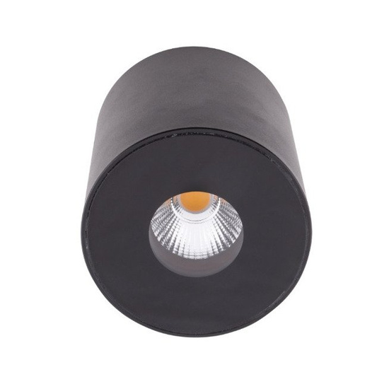 SPOT PLAZMA CZARNY IP54 C0151 MAXLIGHT