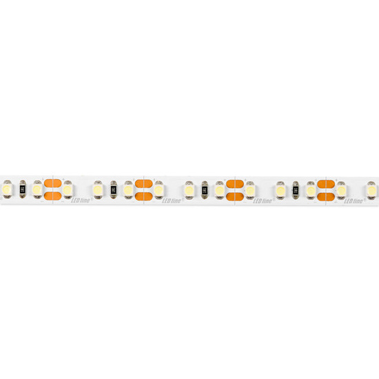 Taśma LED line 600 SMD 3528 biała zimna 10000K