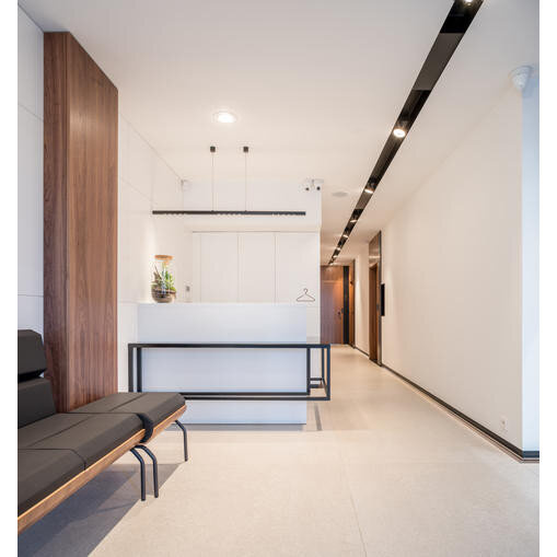 Lampa wisząca LENS LINE LED section AQform