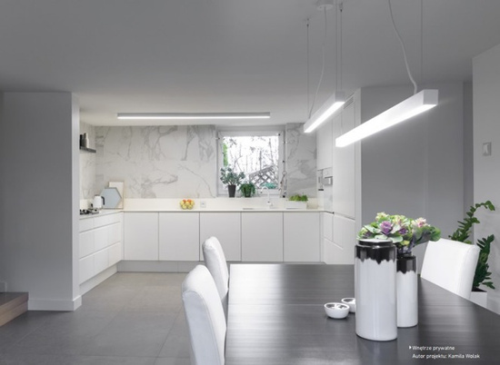 Lampa wisząca Thiny Slim Z 120 Chors
