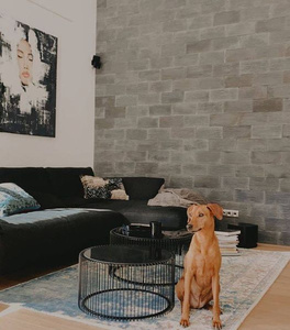 Zestaw dwóch stolików kawowych Wire Black Kare Design 79578 
