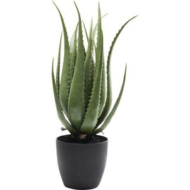 Roślina ozdobna ALOES 69 cm Kare Design