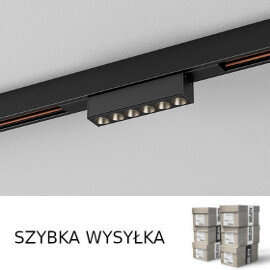 Oprawa RAFTER mini points LED multitrack do szynoprzewodów multitrack i multitrack high AQform